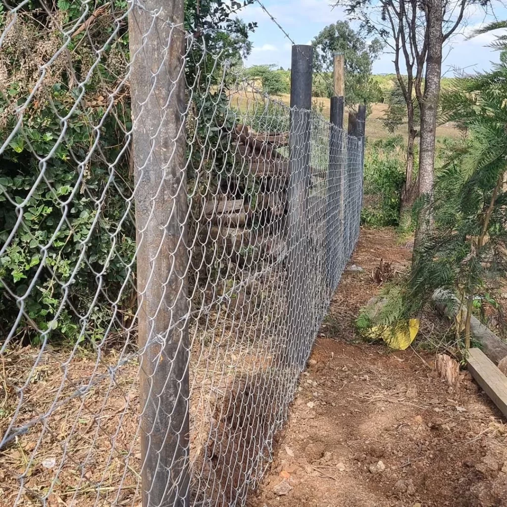 fencing with plastic posts